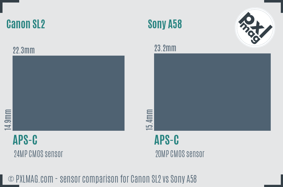 Canon SL2 vs Sony A58 sensor size comparison