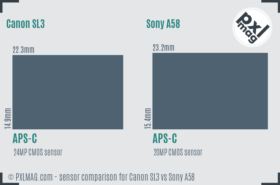 Canon SL3 vs Sony A58 sensor size comparison