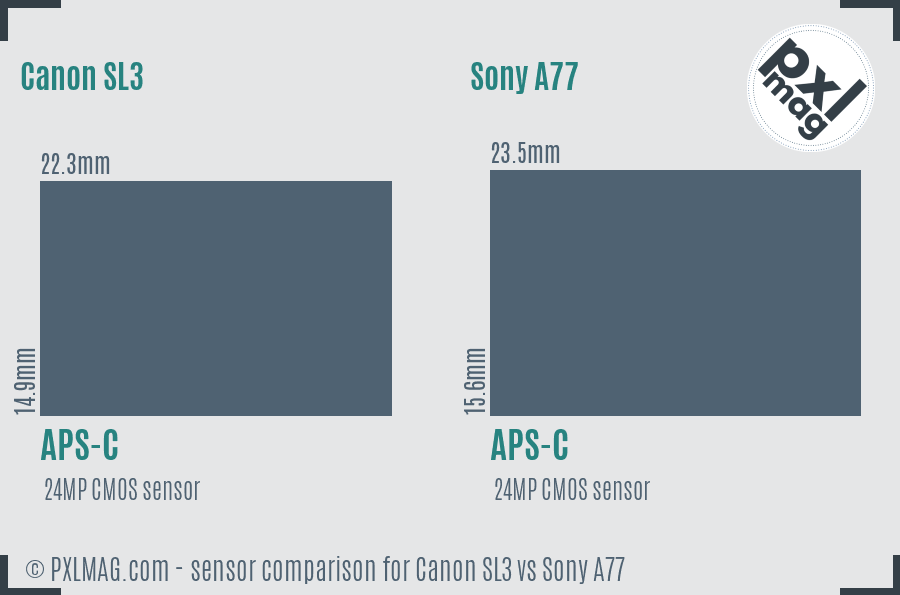 Canon SL3 vs Sony A77 sensor size comparison