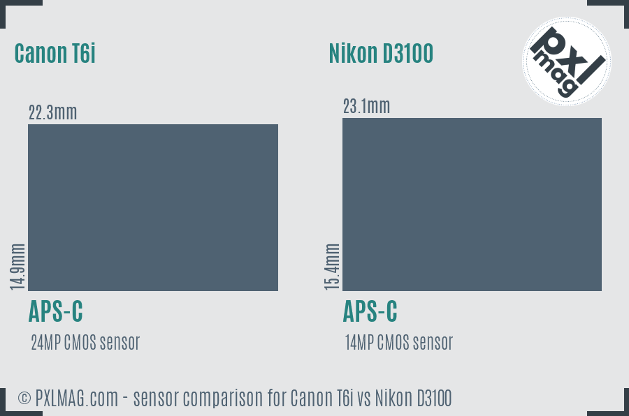 Canon T6i vs Nikon D3100 sensor size comparison