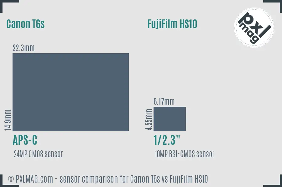 Canon T6s vs FujiFilm HS10 sensor size comparison