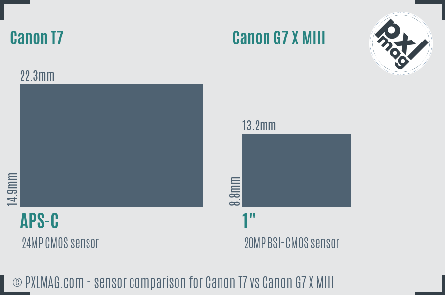 Canon T7 vs Canon G7 X MIII sensor size comparison