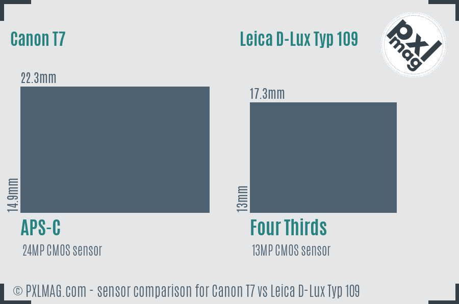 Canon T7 vs Leica D-Lux Typ 109 sensor size comparison