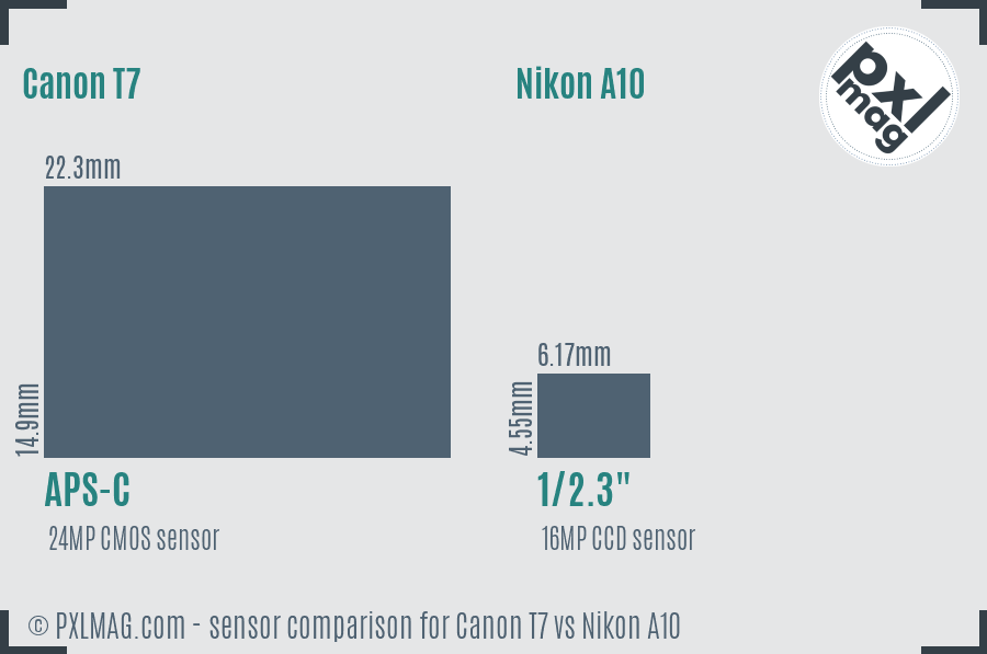 Canon T7 vs Nikon A10 sensor size comparison