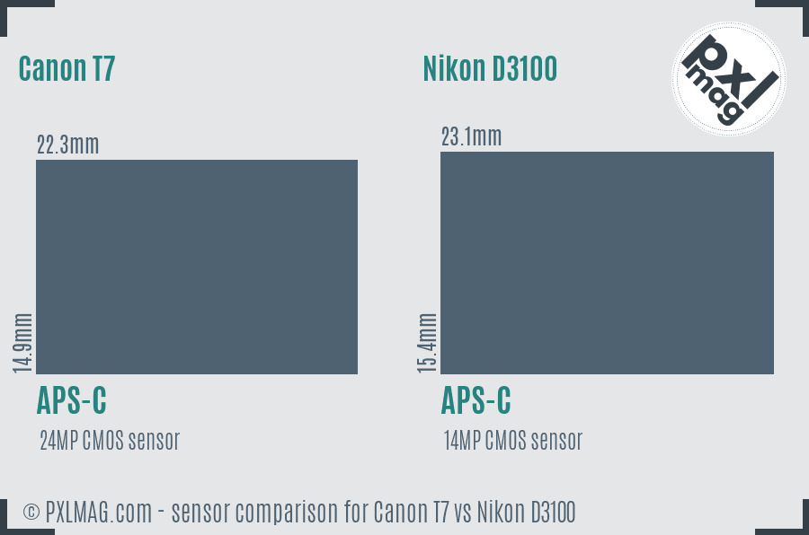 Canon T7 vs Nikon D3100 sensor size comparison
