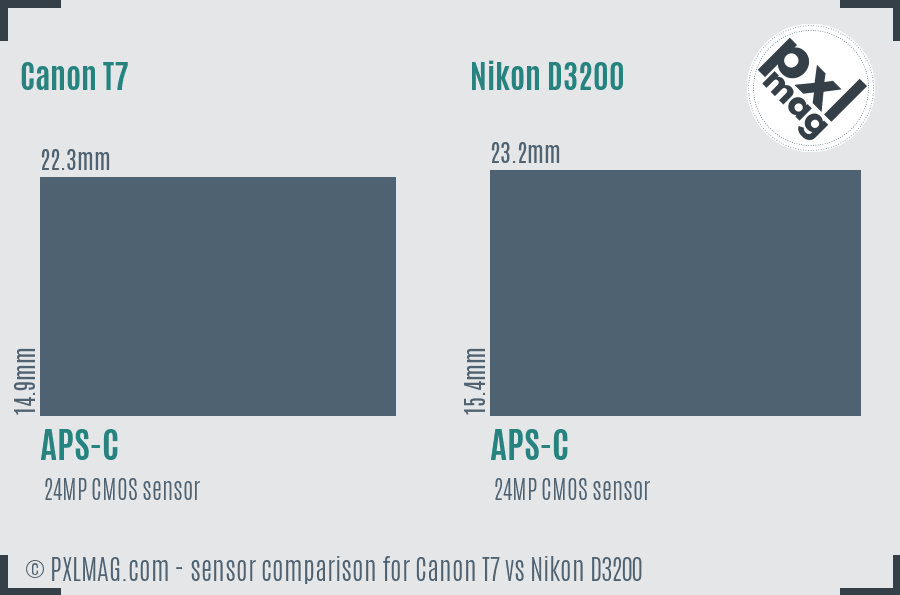 Canon T7 vs Nikon D3200 sensor size comparison