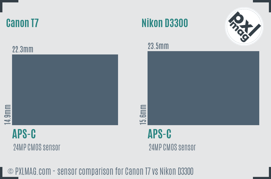 Canon T7 vs Nikon D3300 sensor size comparison