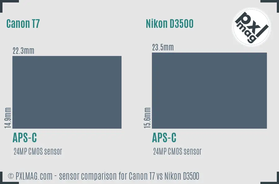 Canon T7 vs Nikon D3500 sensor size comparison