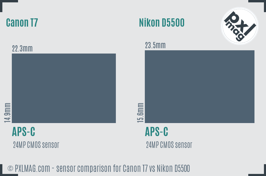 Canon T7 vs Nikon D5500 sensor size comparison