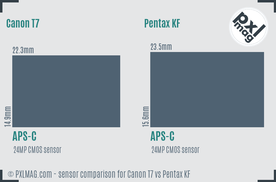 Canon T7 vs Pentax KF sensor size comparison