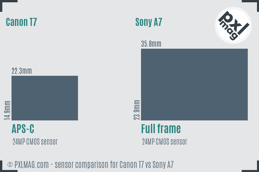 Canon T7 vs Sony A7 sensor size comparison