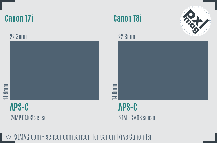 Canon T7i vs Canon T8i sensor size comparison