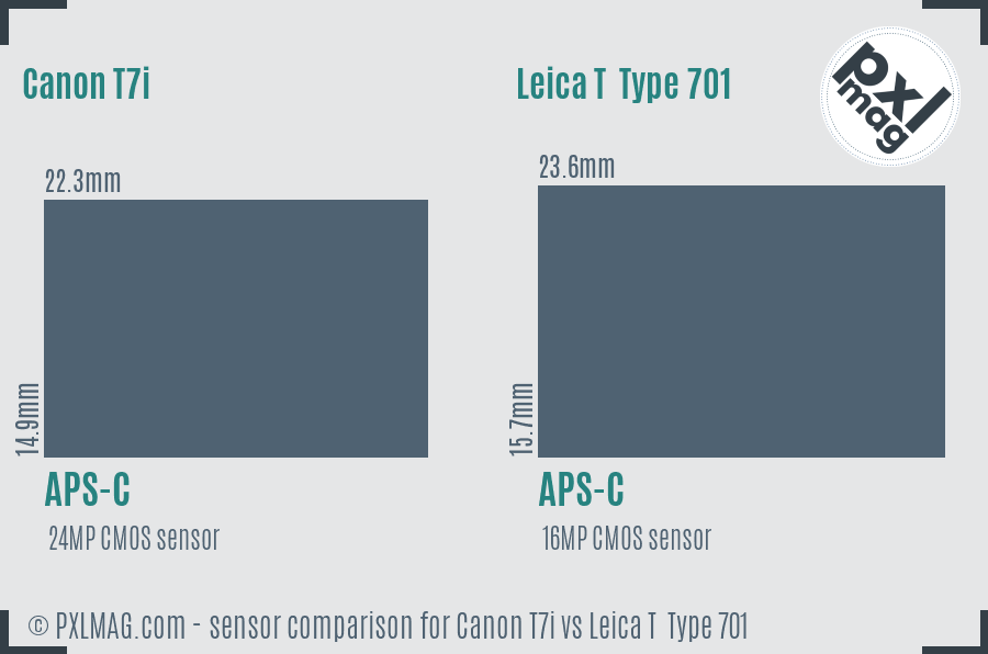 Canon T7i vs Leica T  Type 701 sensor size comparison