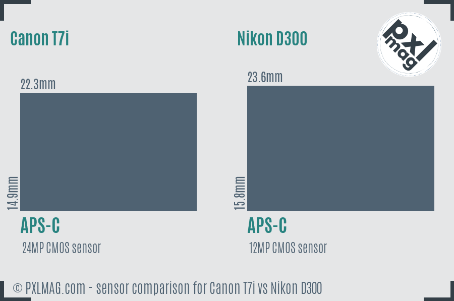 Canon T7i vs Nikon D300 sensor size comparison