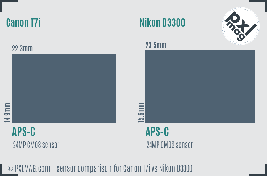 Canon T7i vs Nikon D3300 sensor size comparison