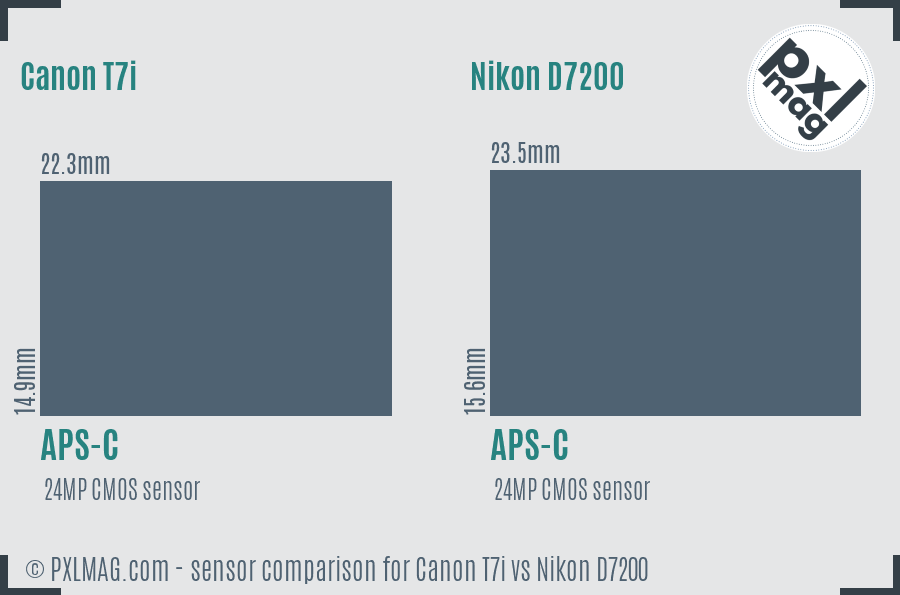 Canon T7i vs Nikon D7200 sensor size comparison