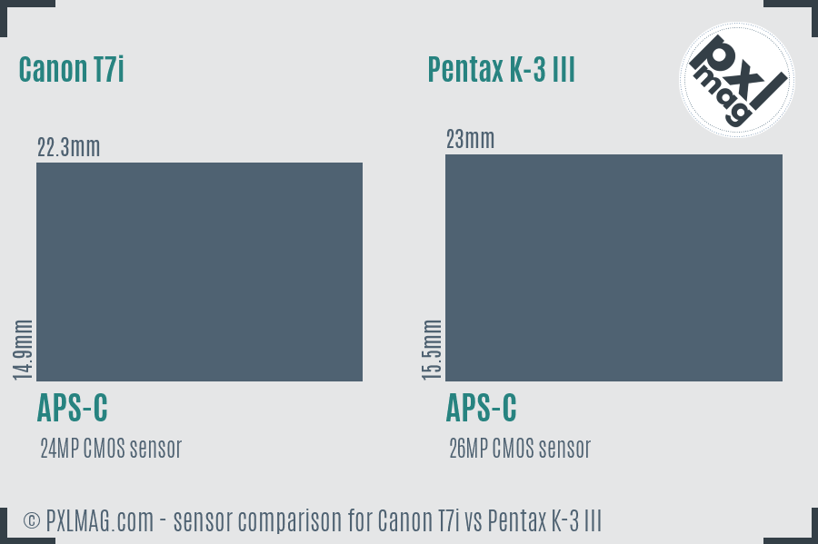 Canon T7i vs Pentax K-3 III sensor size comparison