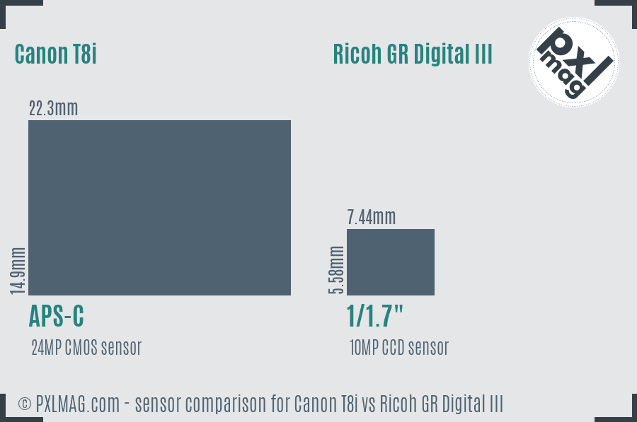 Canon T8i vs Ricoh GR Digital III sensor size comparison