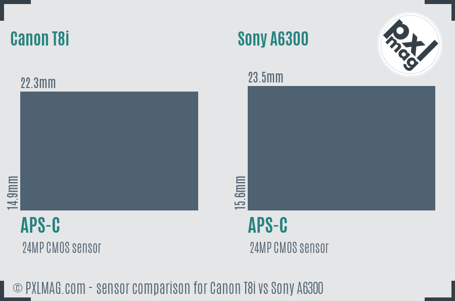 Canon T8i vs Sony A6300 sensor size comparison