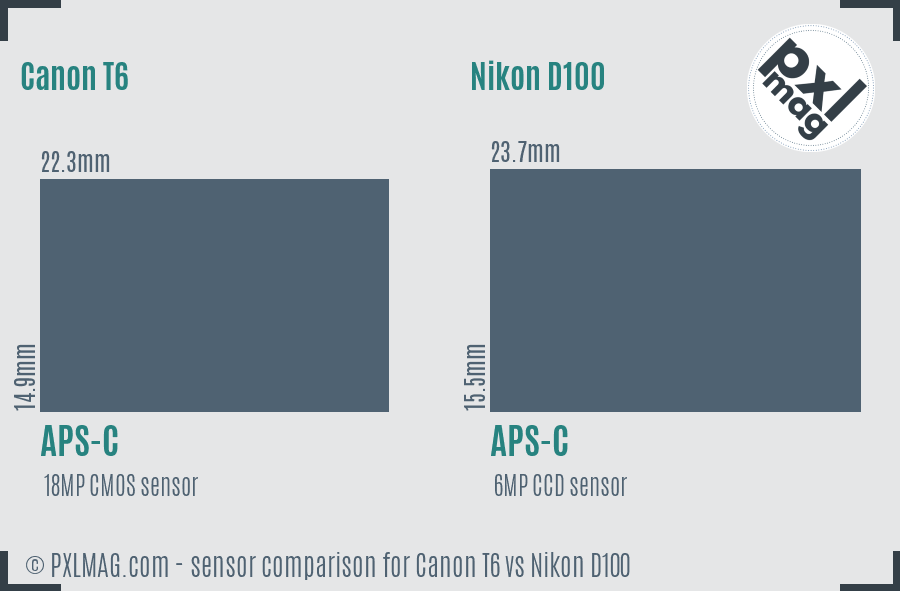 Canon T6 vs Nikon D100 sensor size comparison