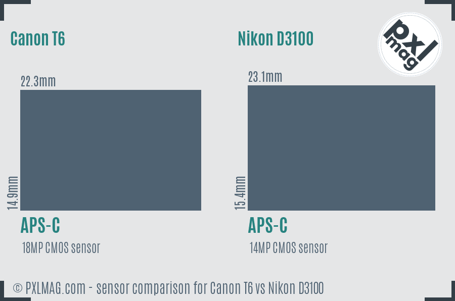 Canon T6 vs Nikon D3100 sensor size comparison Canon T6 vs Nikon D3100 sensor size comparison