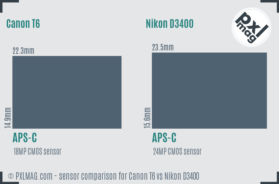 Canon T6 vs Nikon D3400 sensor size comparison