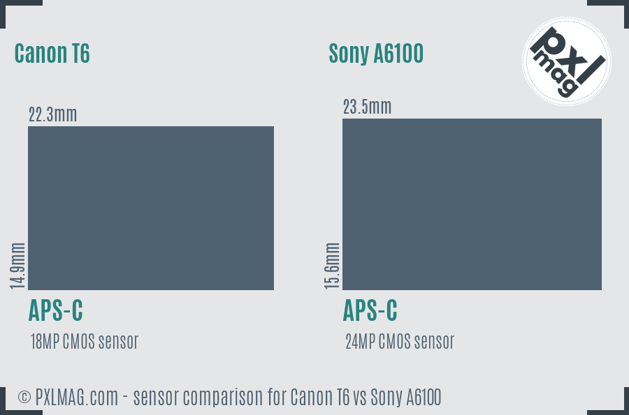 Canon T6 vs Sony A6100 sensor size comparison