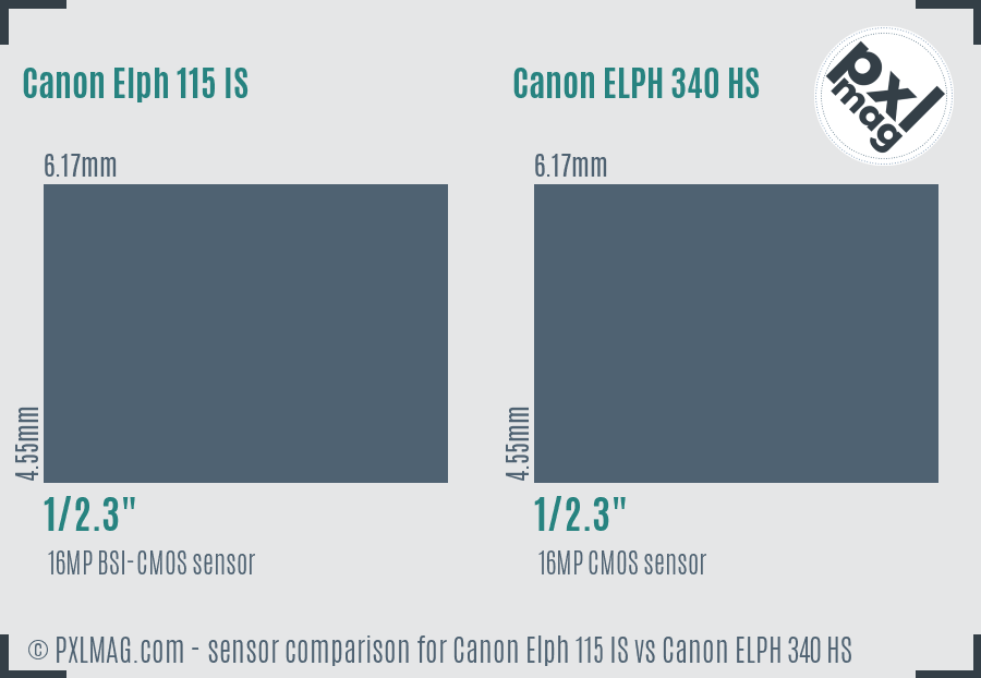 Canon Elph 115 IS vs Canon ELPH 340 HS sensor size comparison