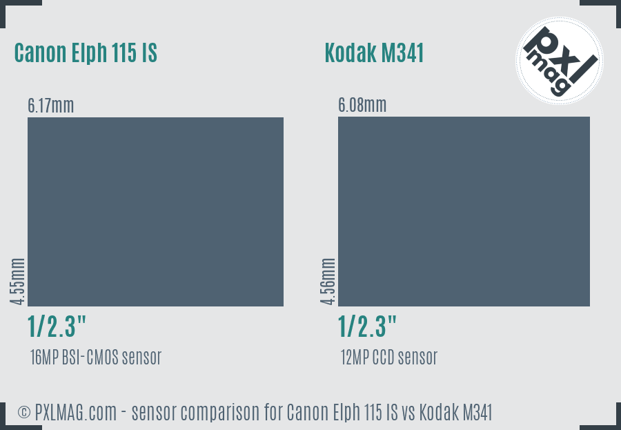 Canon Elph 115 IS vs Kodak M341 sensor size comparison