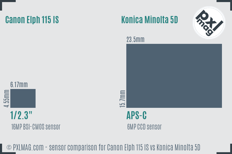 Canon Elph 115 IS vs Konica Minolta 5D sensor size comparison