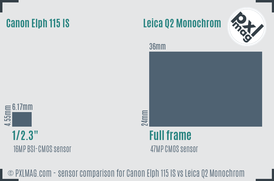 Canon Elph 115 IS vs Leica Q2 Monochrom sensor size comparison