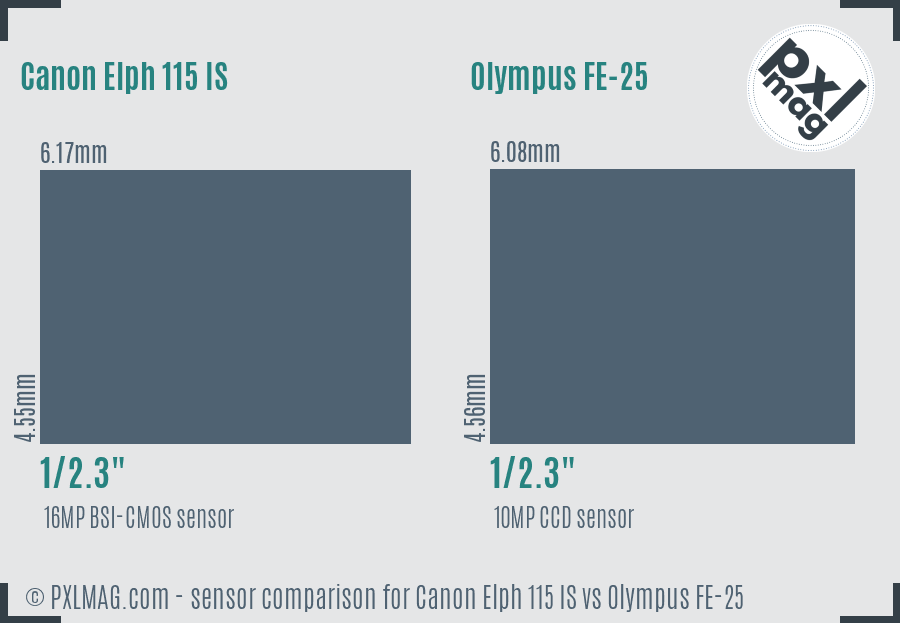 Canon Elph 115 IS vs Olympus FE-25 sensor size comparison