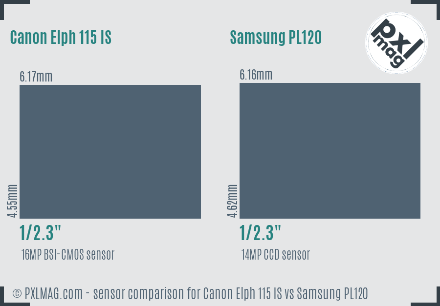 Canon Elph 115 IS vs Samsung PL120 sensor size comparison