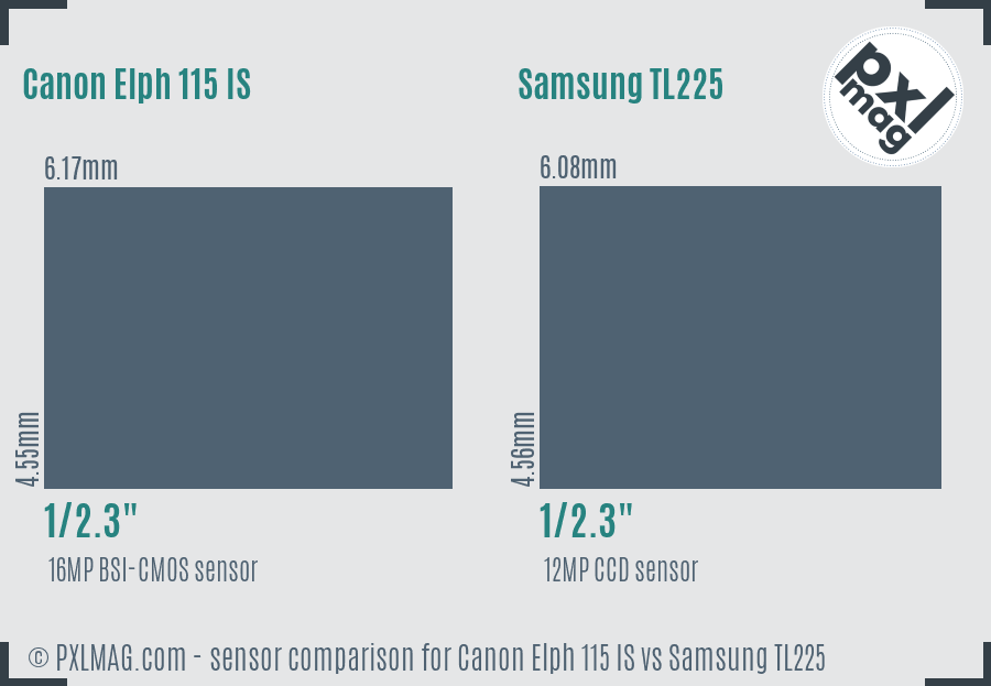 Canon Elph 115 IS vs Samsung TL225 sensor size comparison