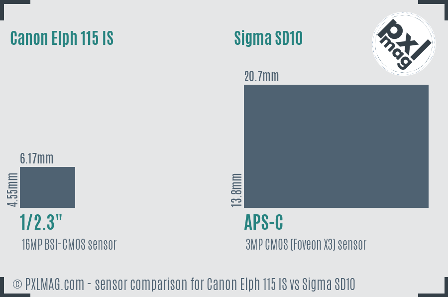 Canon Elph 115 IS vs Sigma SD10 sensor size comparison Canon Elph 115 IS vs Sigma SD10 sensor size comparison