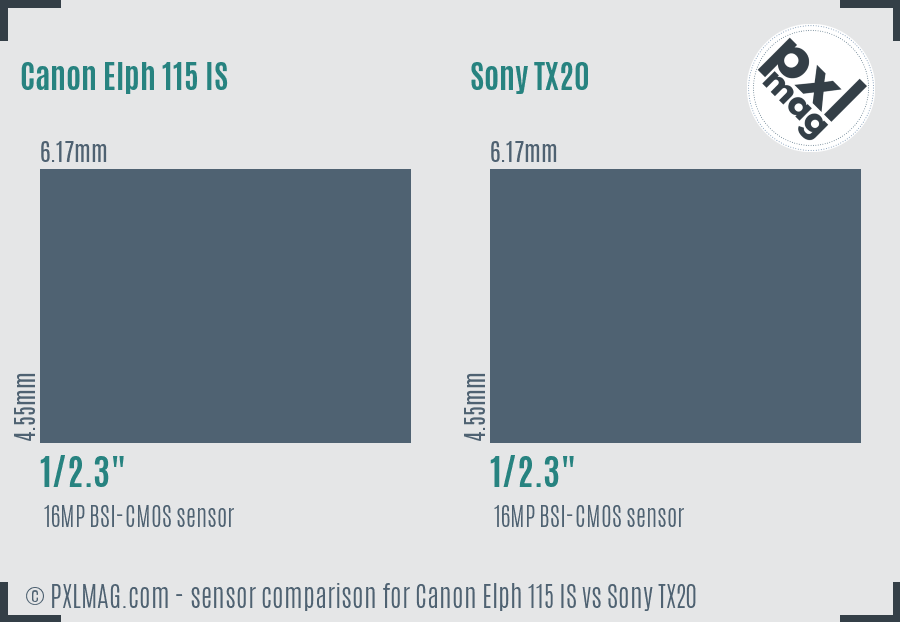 Canon Elph 115 IS vs Sony TX20 sensor size comparison