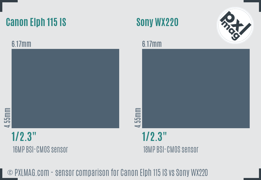 Canon Elph 115 IS vs Sony WX220 sensor size comparison