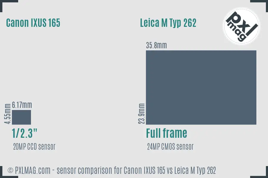 Canon IXUS 165 vs Leica M Typ 262 sensor size comparison
