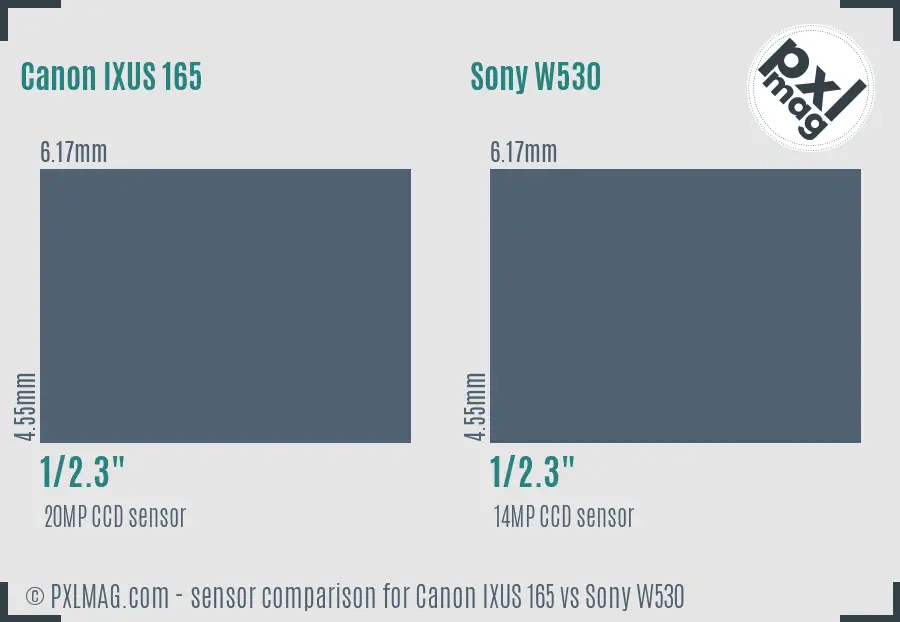 Canon IXUS 165 vs Sony W530 sensor size comparison Canon IXUS 165 vs Sony W530 sensor size comparison