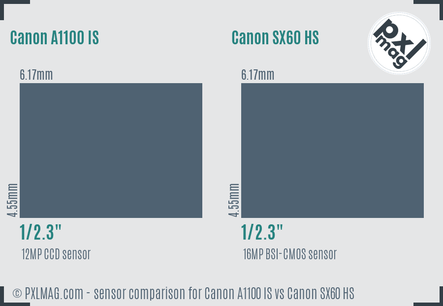 Canon A1100 IS vs Canon SX60 HS sensor size comparison