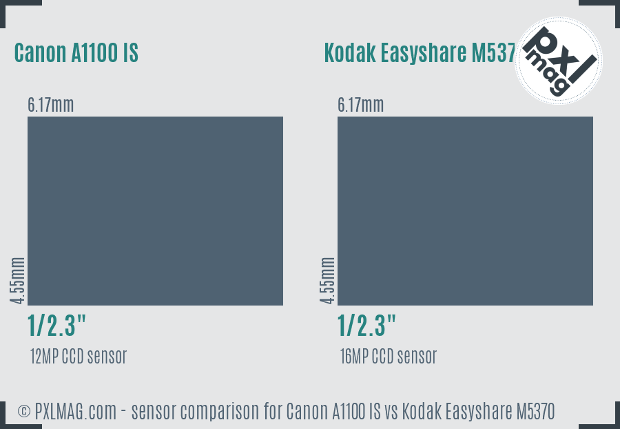 Canon A1100 IS vs Kodak Easyshare M5370 sensor size comparison