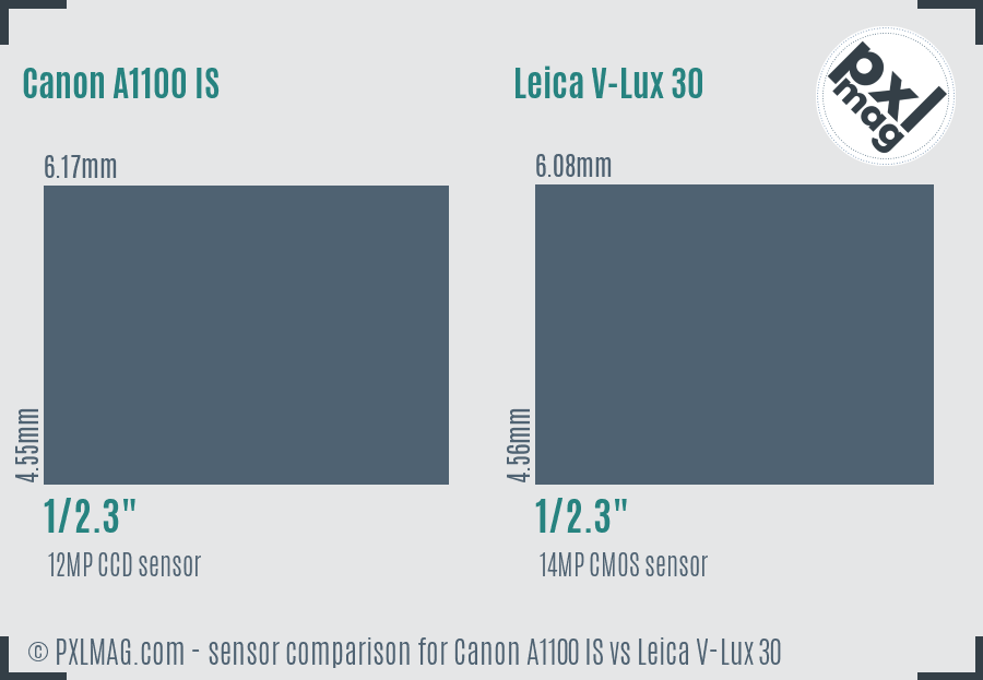 Canon A1100 IS vs Leica V-Lux 30 sensor size comparison