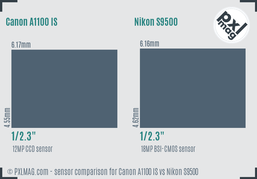 Canon A1100 IS vs Nikon S9500 sensor size comparison