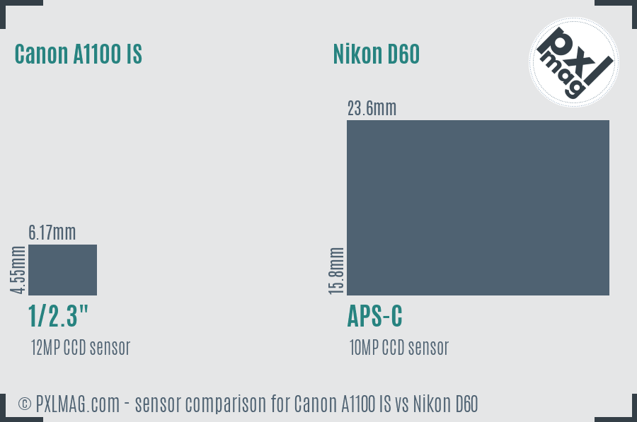 Canon A1100 IS vs Nikon D60 sensor size comparison