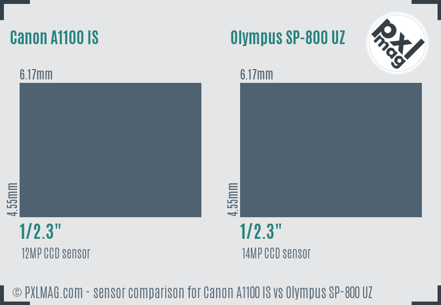 Canon A1100 IS vs Olympus SP-800 UZ sensor size comparison