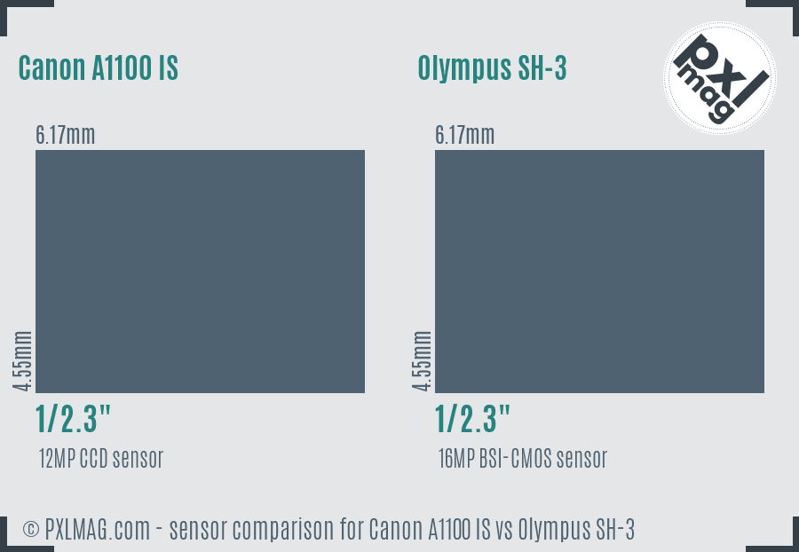 Canon A1100 IS vs Olympus SH-3 sensor size comparison