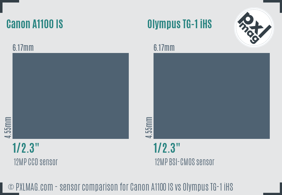 Canon A1100 IS vs Olympus TG-1 iHS sensor size comparison