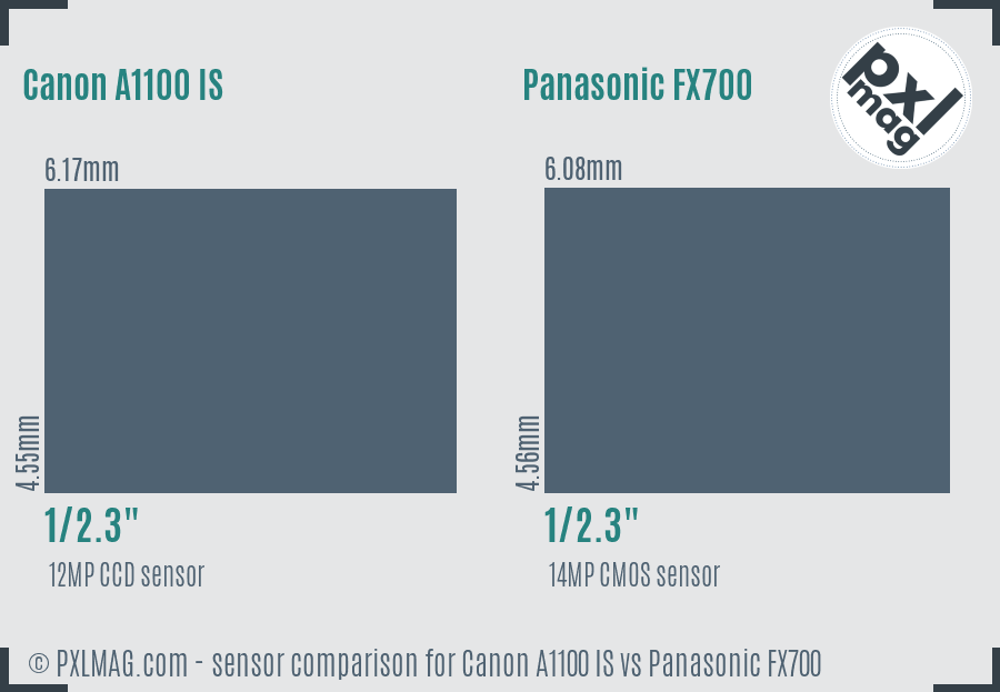 Canon A1100 IS vs Panasonic FX700 sensor size comparison