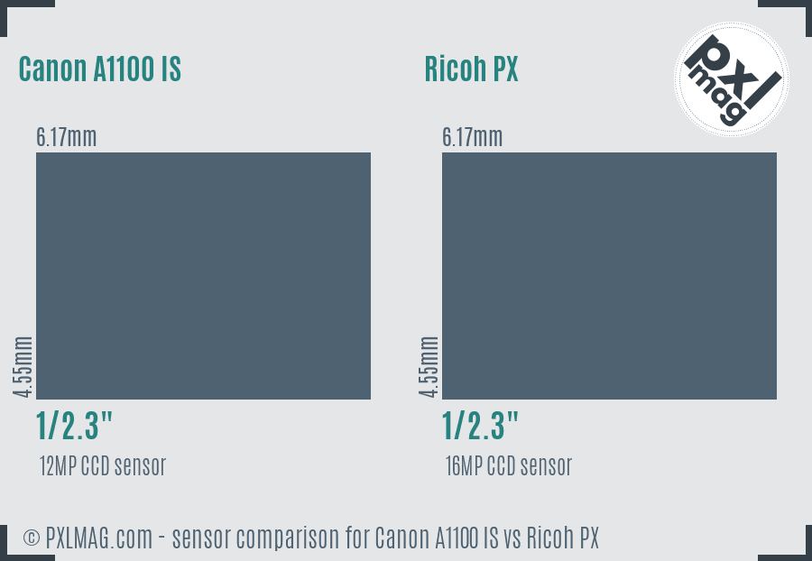 Canon A1100 IS vs Ricoh PX sensor size comparison Canon A1100 IS vs Ricoh PX sensor size comparison