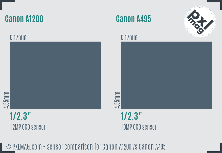 Canon A1200 vs Canon A495 sensor size comparison